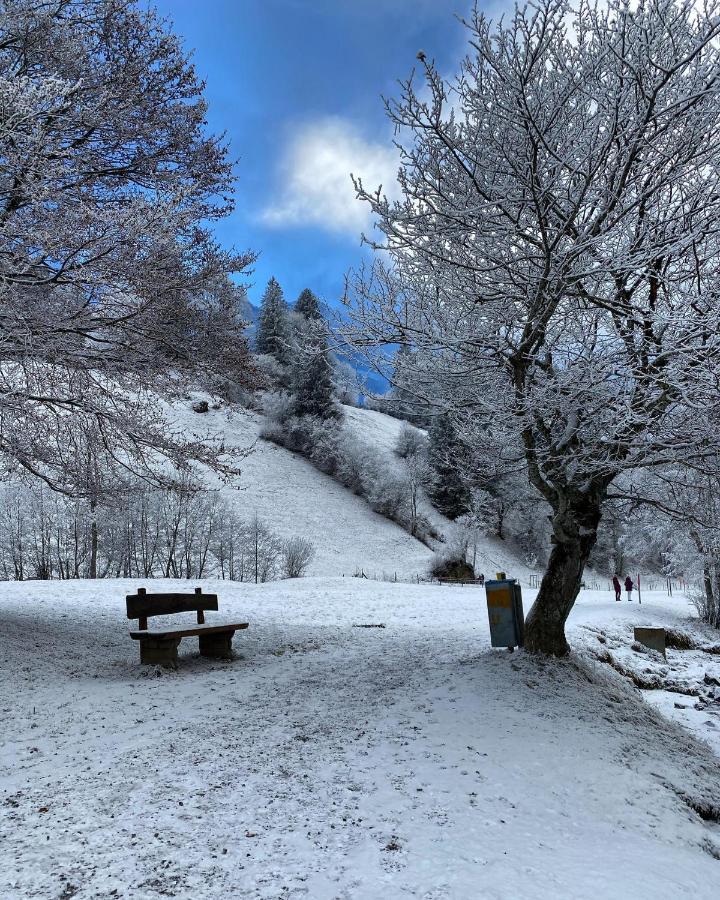 Hotel Central Engelberg Dış mekan fotoğraf